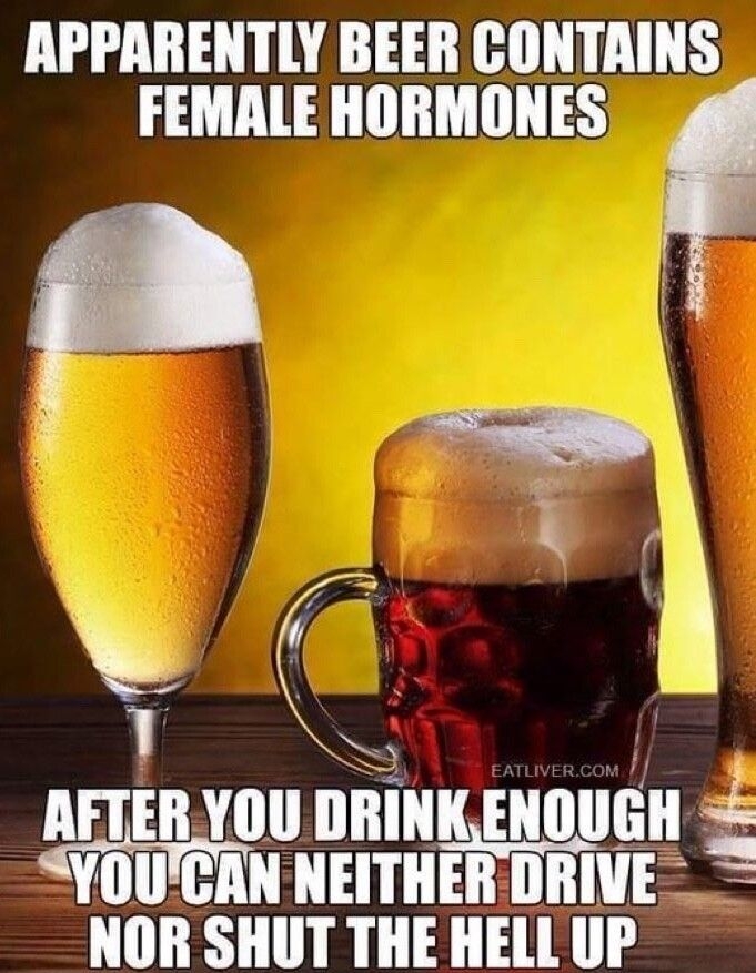APPARENTLY BEER CONTRINS FEMALE HORMONES 3 1 NS AFTERYOU DRINKENOUGH YOUCAN NEITHERDRIVE NOR SHUT THE HELL UP