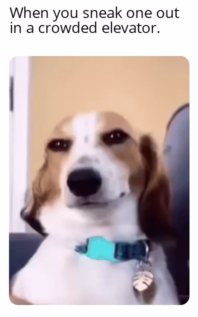 When you sneak one out in a crowded elevator
