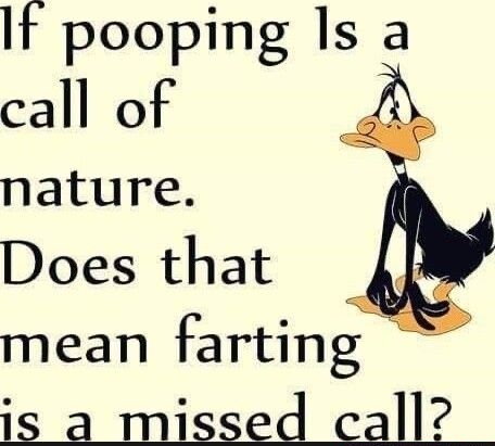 It pooping Is a call of nature Does that A mean farting S 3 i 12