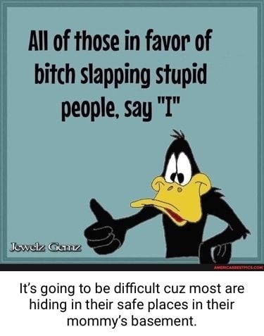 All of those in favor of bitch slapping stupid people say T
