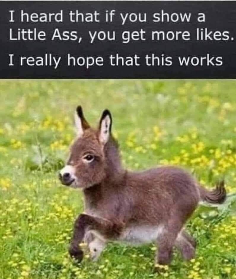 I heard that if you show a Little Ass you get more likes I really hope that this works