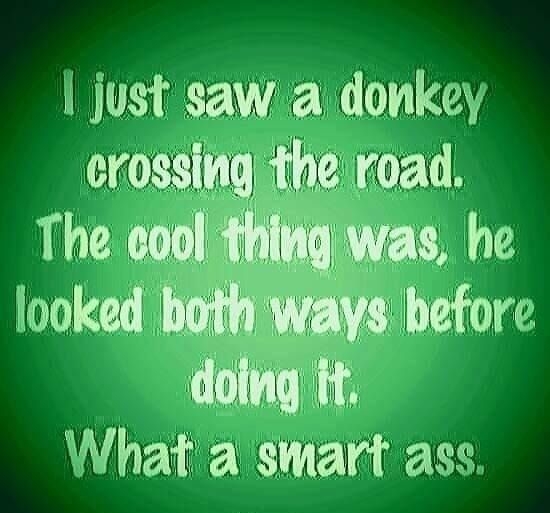 just sawa donkey fj ad What a smart ass