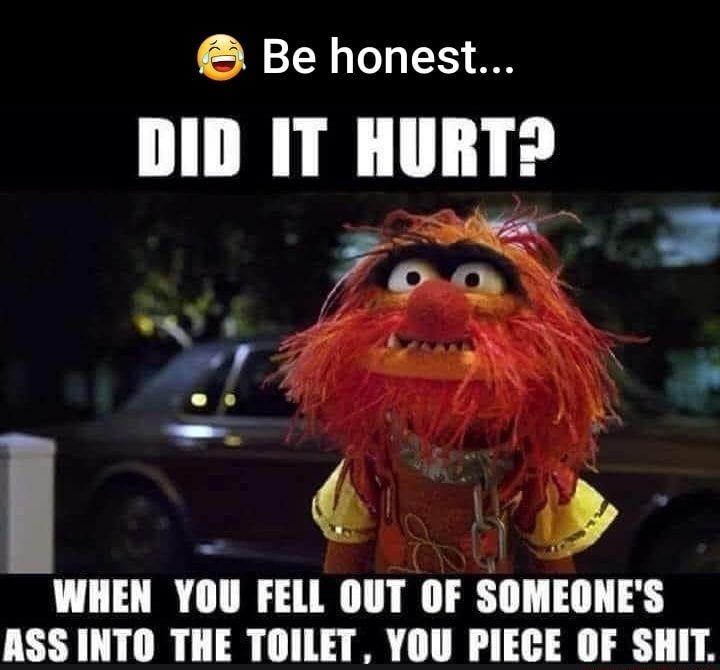 Be honest DID IT HURT F WHEN YOU FELL OU SOMEONES ASS INTO THE TOILET YOU PIECE OF SHIT