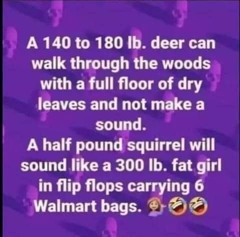 y A 140 to 180 Ib deer can walk through the woods with adll floor of dry 7 leaves and not make a sound A half pound squirrel will sound like a 300 Ib fat girl in flip flops 6 3