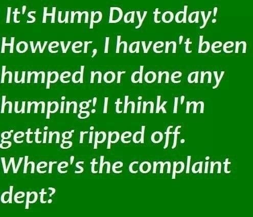 Its Hump Day today However havent been o 1T3pTeTte Mo TeT e eTA T 14 humping I think Im getting ripped off Wheres the complaint o 24