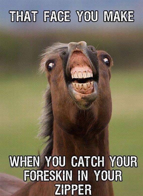 WHEN YOU CATCH YOUR I FORESKIN IN YOUR IPPER