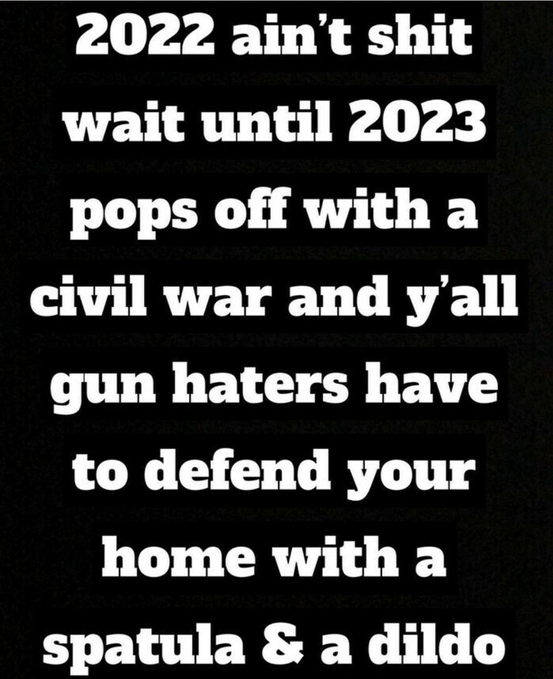2022 aint shit wait until 2023 pops off with a civil war and yall gun haters have to defend your home with a spatula a dildo