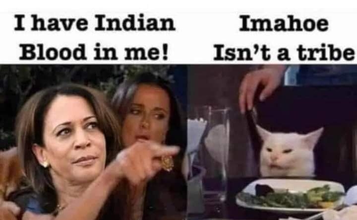 I have Indian Blood in me Is