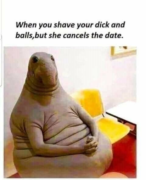 When you shave your dick and ballsbut she cancels the date