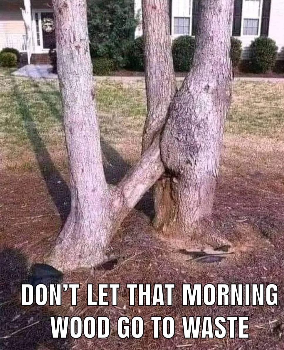 DONT lET THAT MURNING v WDUD GO T0 WASTE