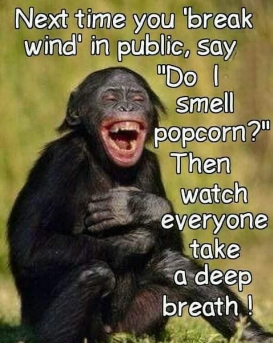 Nextitimelyou break Wigte M lialeVlellts e 0P smell 4 Popeenn Whhen i watch evenyone take ar deep bneuth lv