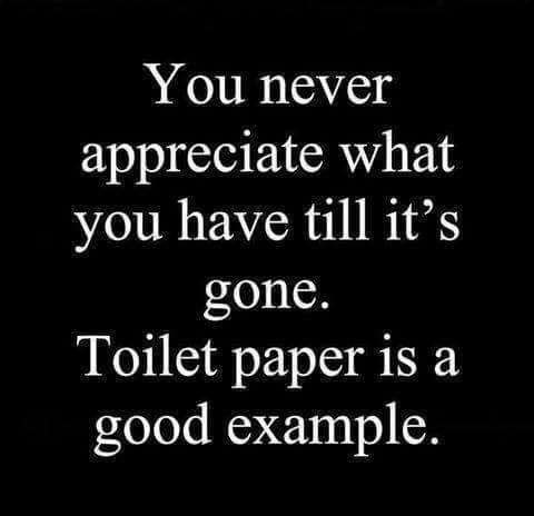 You never appreciate what you have till its gone Toilet paper is a good example