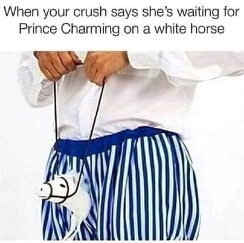 When your crush says shes waiting for Prince Charming on a white horse