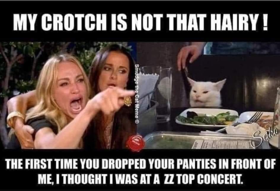 MY CROTCH IS NOT THAT HAIRY 0 it THE FIRST TIME YOU DROPPED YOUR PANTIES IN FRONT OF ME THOUGHT I WAS AT A ZZ TOP CONCERT