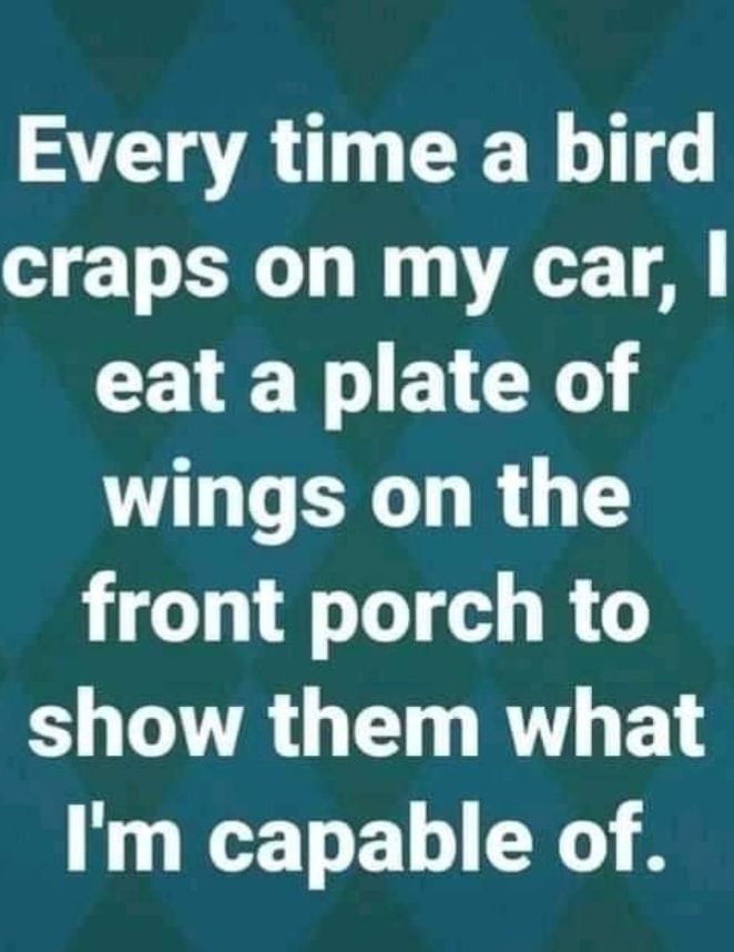 Every time a bird craps on my car CEVE T ECN VLGRS front porch to S TR G R F L Im capable of