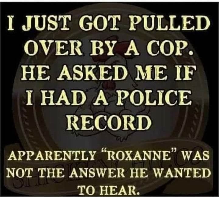 I JUST GOT PULLED 00 01090 13 W60 8 HE ASKED ME IF I HAD A POLICE 104 6024D APPARENTLY ROXANNE WAS NOT THE ANSWER HE WANTED TO HEAR