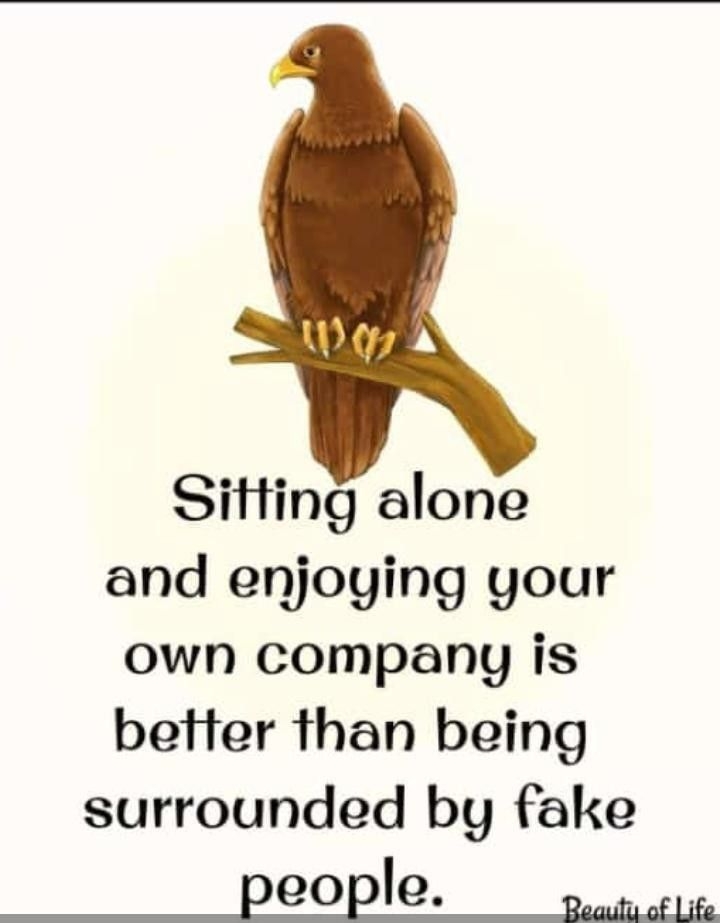 Sitting alone and enjoying your own company is better than being surrounded by fake eoEle