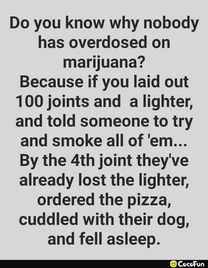 Do you know why nobody has overdosed on marijuana Because if you laid out 100 joints and a lighter and told someone to try and smoke all of em By the 4th joint theyve already lost the lighter ordered the pizza cuddled with their dog and fell asleep