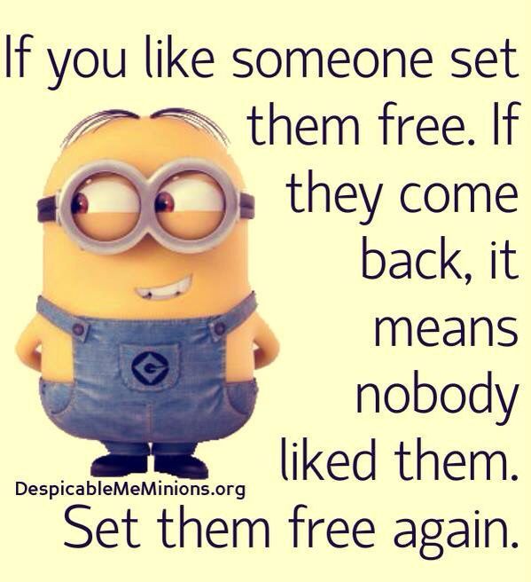 If you like someone set 2 them free If w they come back it Mmeans nobody liked them DespicableMeMini Set them free again