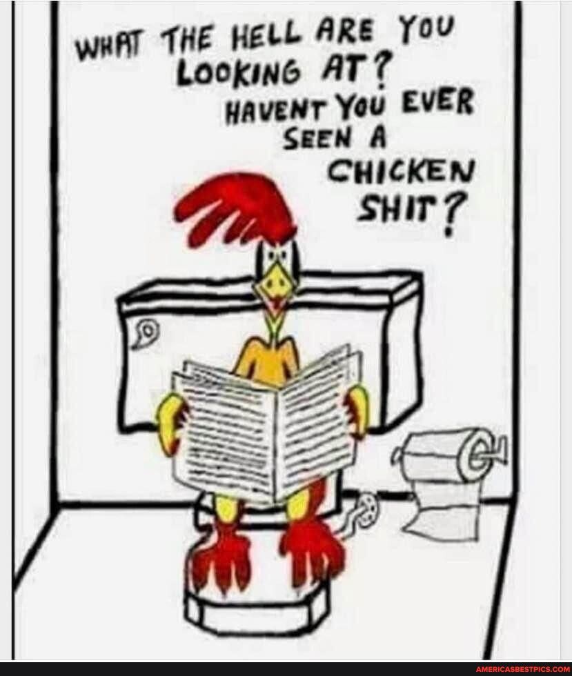 WHAT THE HELL ARE YOU Lookine AT 7 HAVENT You EVER SEEN A CHICKEN