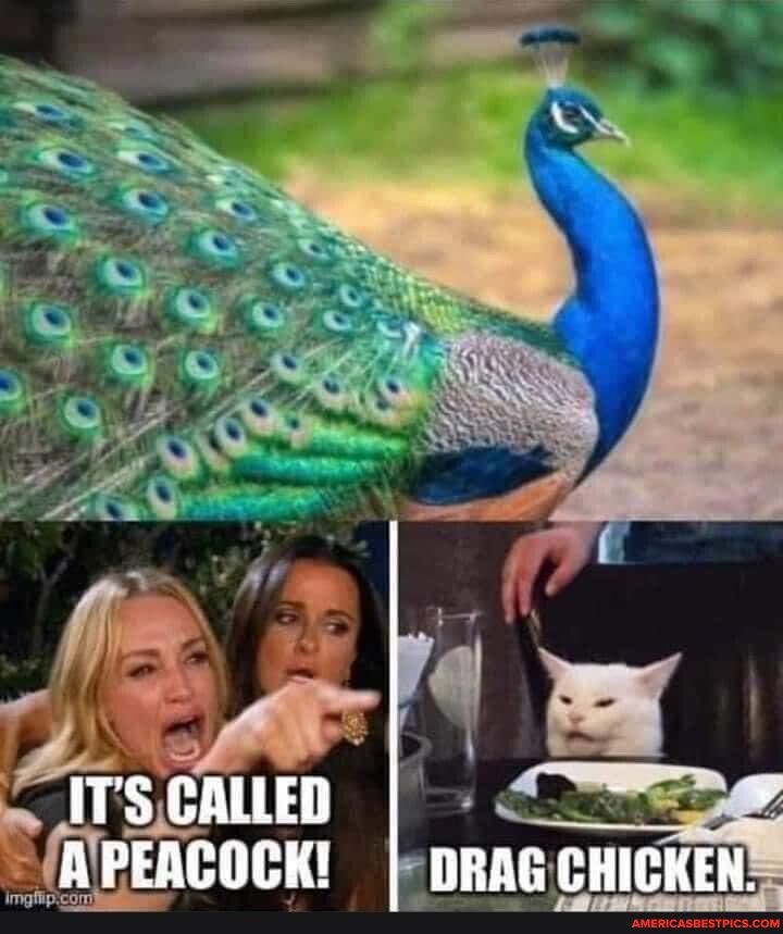 B 0
