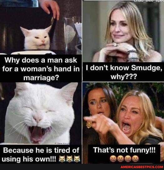Why CEESERLEL R RCIE RV ER S EL TR UELET Because he is tired of using his own E I dont knw Smudge why Thats not 1unnyl EY LY