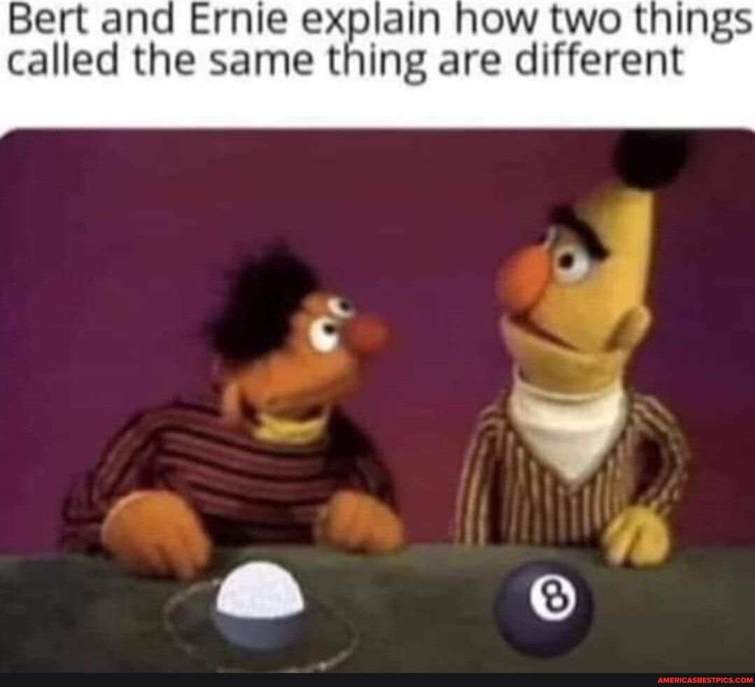 Bert and Ernie explain how two t called the same thing are different