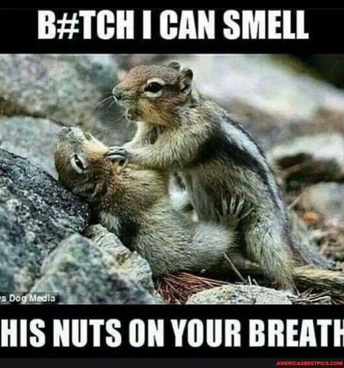 BTCH CAN SMELL IS IlIIIS ON YIIII BREAT