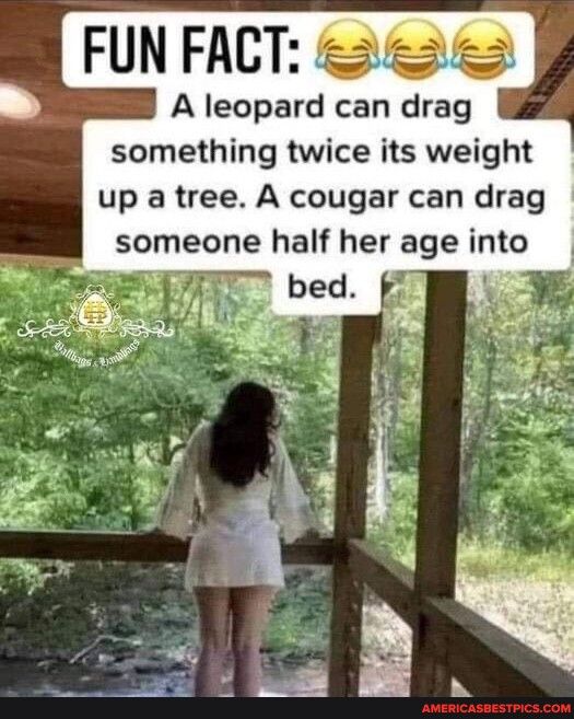 FUNFACT A leopard can drag something twice its weight up a tree A cougar can drag someone half her age into