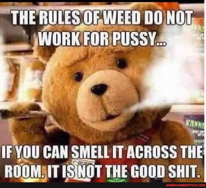 IIIE lllS OFWEEII LTI WIIIII FOMIISSY E IFYOU CAN SMELL IT ACROSS THE RODMYIT ISINOT THE GOOD SHIT