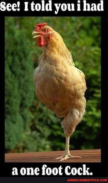 See Itold youihad ioot Cock