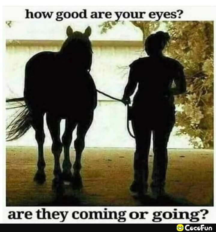 3 how good are your eyes B Y NG are they coming or going