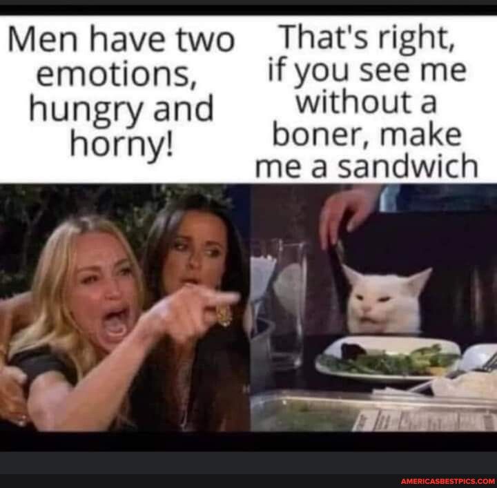 Men have two Thats right emotions if you see me hungry and without a horny boner make me a sandwich
