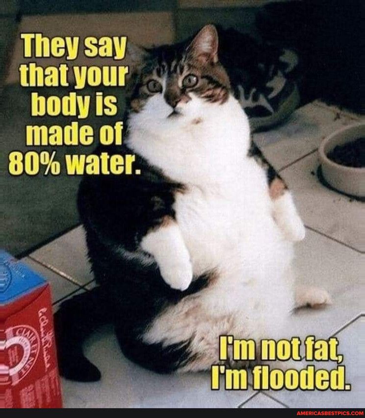 They say thatyour body is made of 80 water