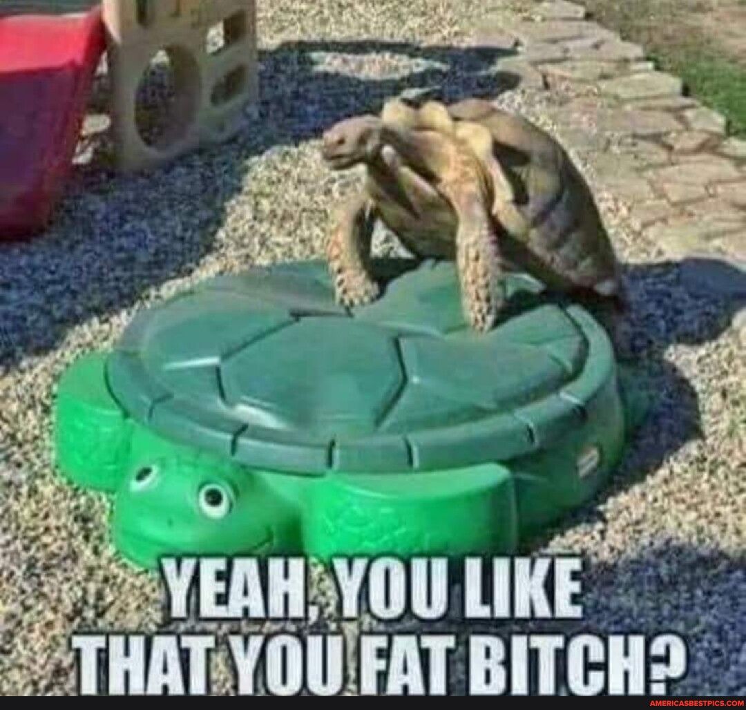 YEAHYOU LIKE TR BITIH