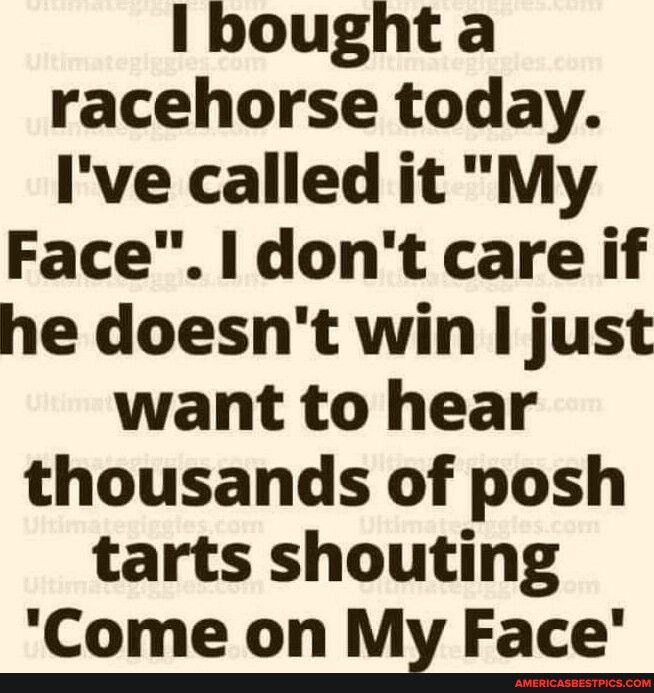 I bought a racehorse today Ive called it My Face dont care if he doesnt win just want to hear thousands of posh tarts shouting Come on Mz Face