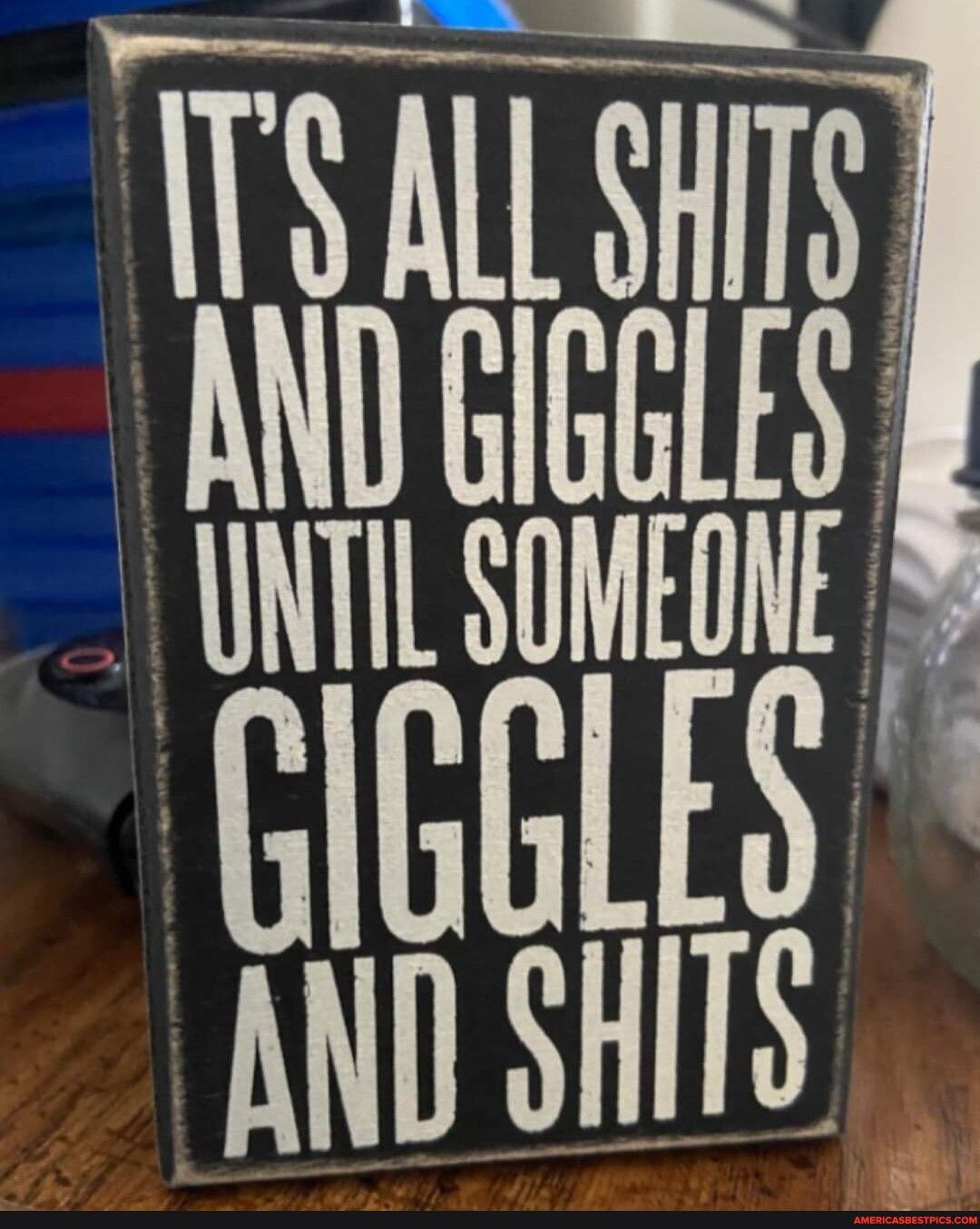 e TS ALL SHITS AND GIGGLES Lt 3 SR