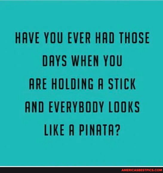HAVE YOU EVER HAD THOSE DAYS WHEN YOU ARE HOLDING A STICK LIKE R PINRTA