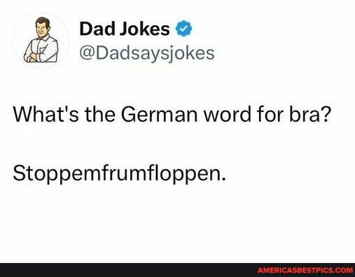 Dad Jokes Dadsaysjokes Whats the German word for bra Stoppemfrumfloppen