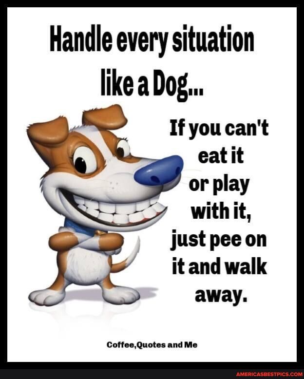 Handle every situation like a Dog If you cant eatit or play withit justpeeon itand walk away