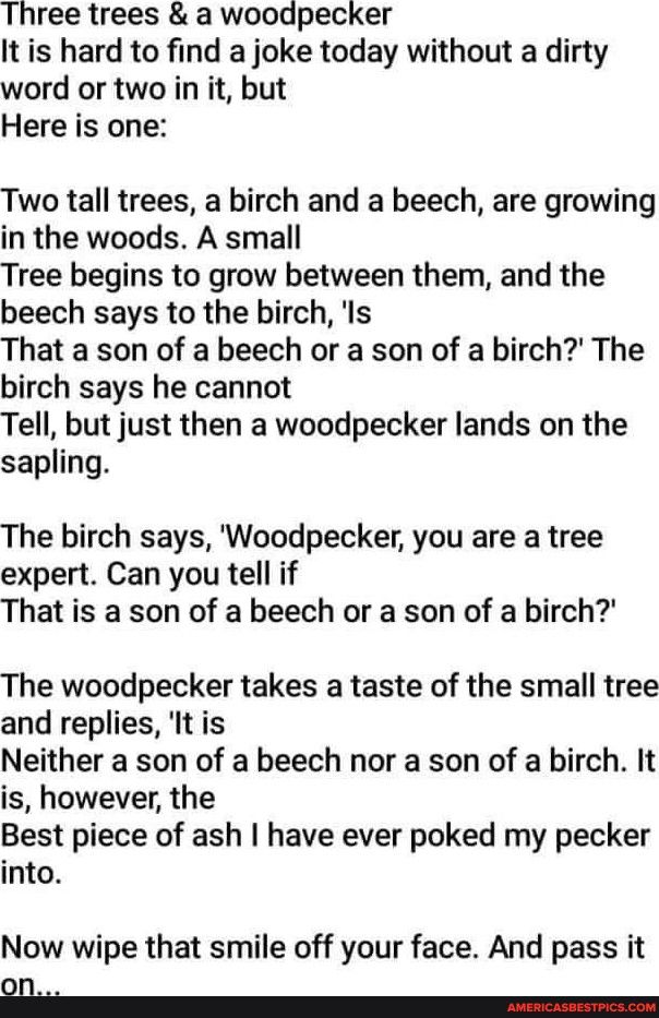Three trees a woodpecker It is hard to find a joke today without a dirty word or two in it but Here is one Two tall trees a birch and a beech are growing in the woods A small Tree begins to grow between them and the beech says to the birch Is That a son of a beech or a son of a birch The birch says he cannot Tell but just then a woodpecker lands on the sapling The birch says Woodpecker you are a t