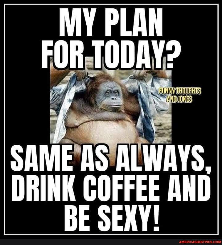 MY PLAN SAMEASTALWAYS DRINK COFFEE AND BE SEXY