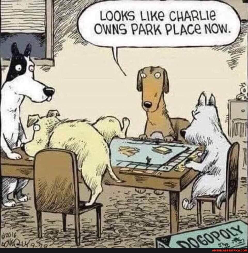 LOOKS LIKe CHARLIR OWNS PARK PLACE NOW