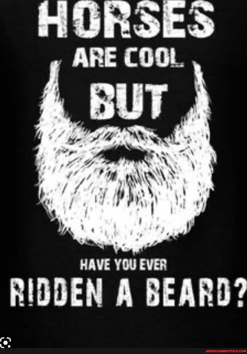 HORSES ARE COOL HAVE YOU EVER RIDDEN A BEARD