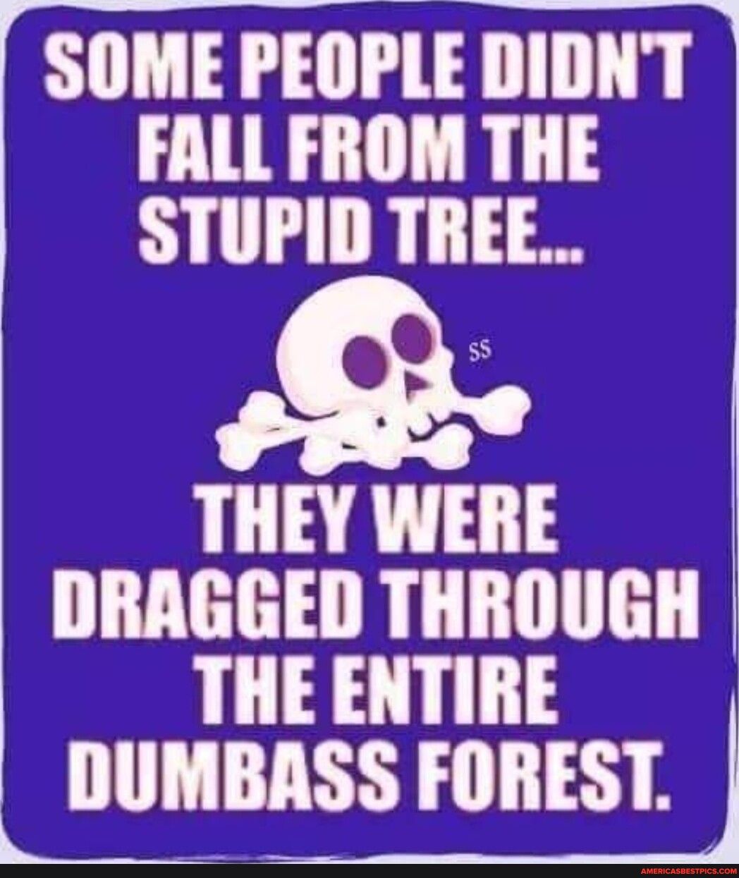 SOME PEOPLE DIDNT FALL FROM THE STUPID TREE Q THEY WERE DRAGGED THROUGH THE ENTIRE llllMJASS FOREST i