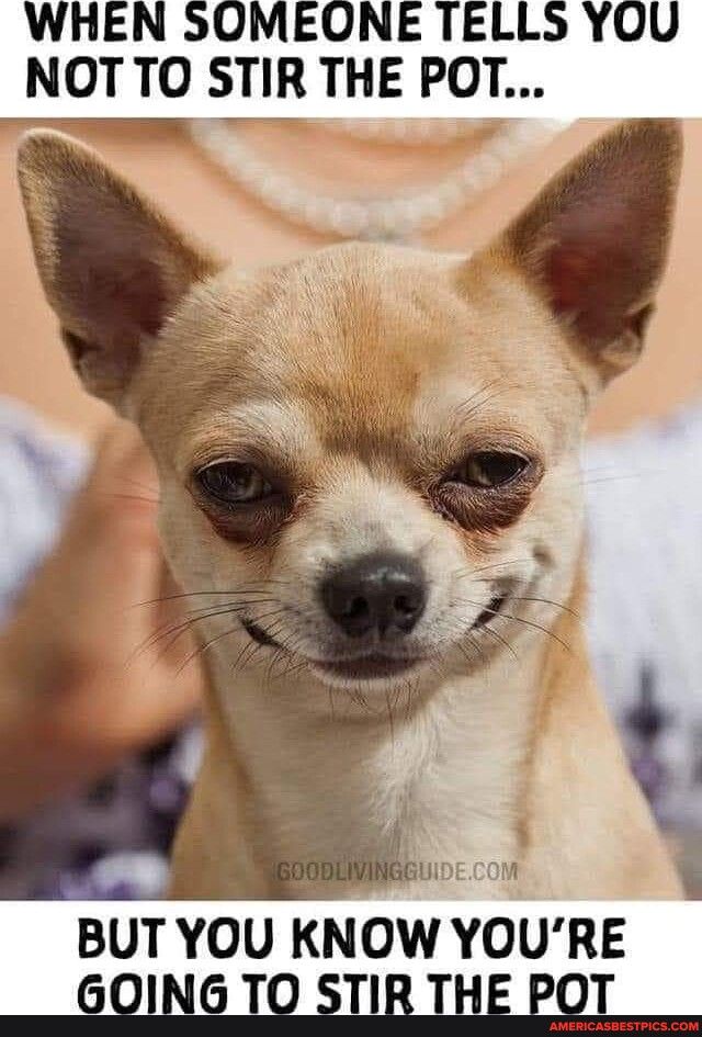 WHEN SOMEONE TELLS YOU NOTTO STIR THE POT BUTYOU KNOW YOURE __GOING TO STIR THE POT __