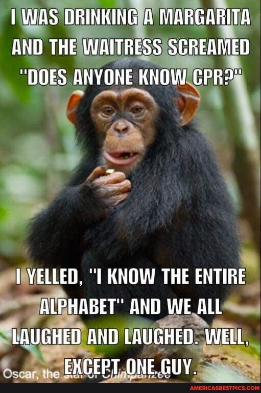 hgxiwlnmnnrn AND THEIWAITRESSISCREANED DOES ANYONE KNOWICPR LIRS R s INELLED 1 KNOW THE ENTIRE P STBHABET AND WE ALl e e Y apm el Secatma EXCERLONE GUY