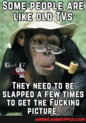 THEY NEEDTO BE SLAPPED A FEWTIMES T0 GET THE FUCKING e PICTURERE