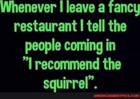 Whenever leave a fancy e AR R T people coming in I recommend the squirrel