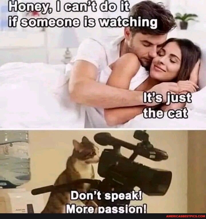 7 semeens B Don 3 speakl iMoreipassion